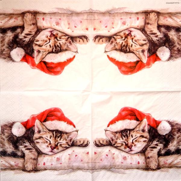 KAT-959 Katzen - 3-lagig - Ambiente